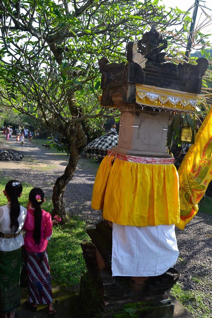 Vesnice Tenganan, Bali