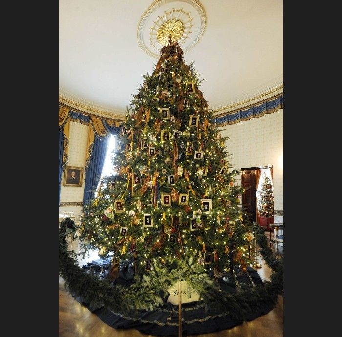 Vánoční strom - Washington DC - White House