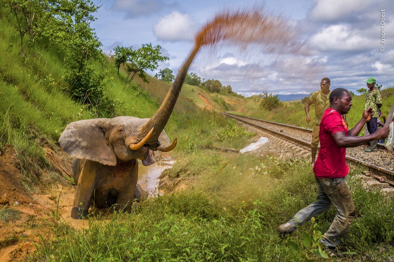 Fotografie ze soutěže Wildlife Photographer of the Year 2023