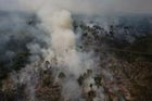 Lidé loni zničili dvanáct milionů hektarů tropického lesa, nejvíc kácela Brazílie