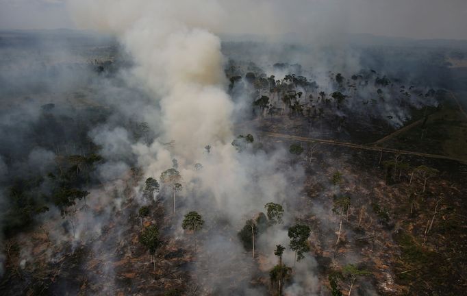 Pálení pralesa dřevorubci a farmáři v brazilském státě Pará na severu země.