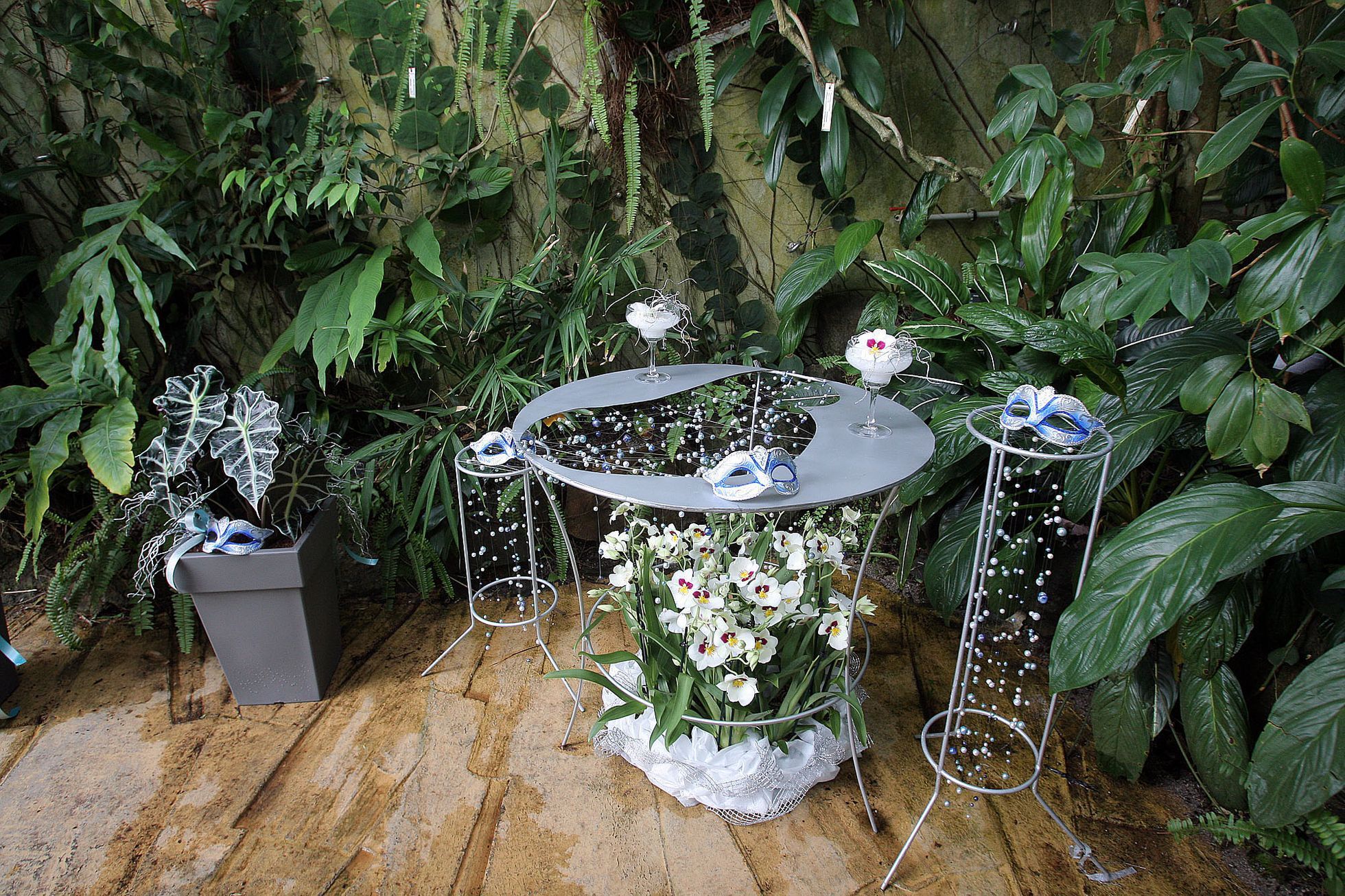 Orchideje v botanické zahradě