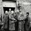 Jednorázové použití / Fotogalerie / Uběhlo 80 let od osvobození koncentračního tábora smrti v Osvětimi / Profimedia