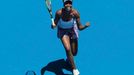 Australian Open 2017 (Venus Williamsová)