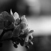 Week of Life - Jan Vrba - 11. 6. 12 - 2