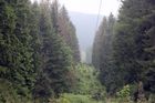 Osmimiliardový tendr Lesů ČR vyhrála Jihozápadní dřevařská