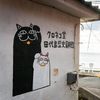 Japonsko, kočka, zvířata, ostrov, Taširodžima, reportáž