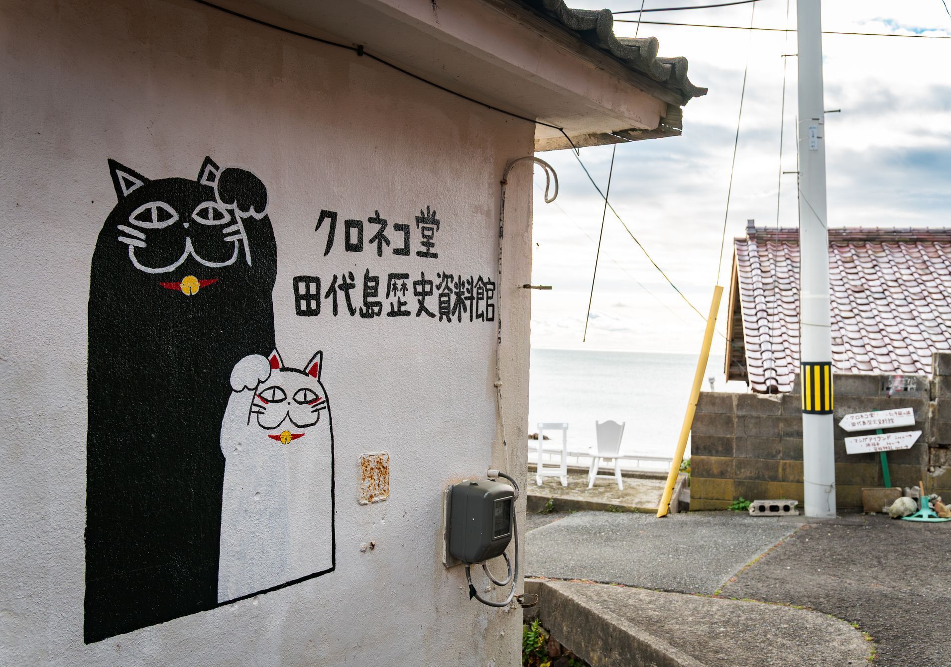 Japonsko, kočka, zvířata, ostrov, Taširodžima, reportáž