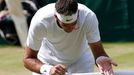 Djokovič vs. Del Potro, semifinále Wimbledonu 2013.