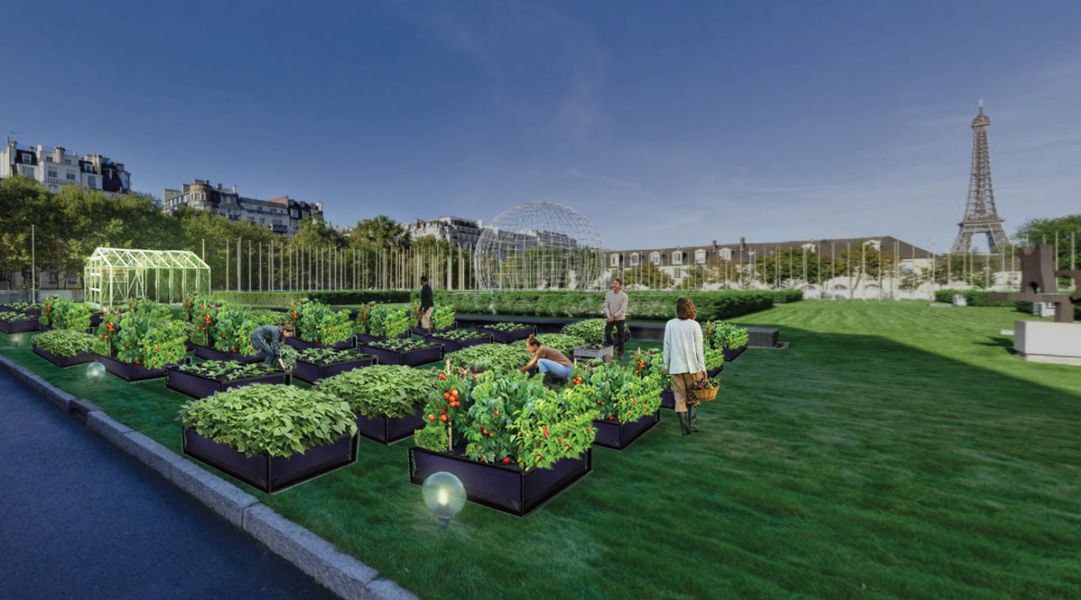 Paříž - garden