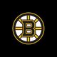 Boston Bruins