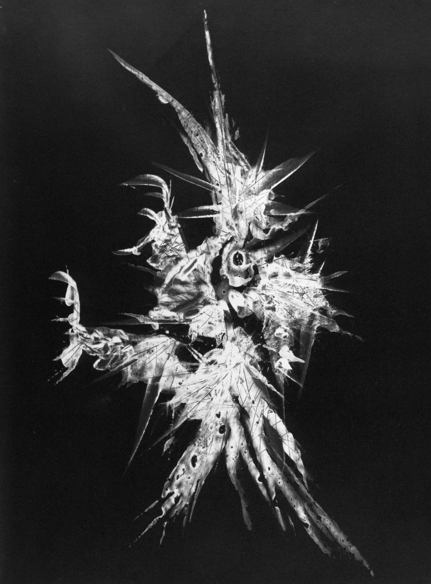 Výstava: Vilém Reichmann. Každá věc je počátkem básně, Vilém Reichmann, fotograf, výstava, Brno, Foto, Magazín