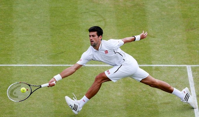 Wimbledon 2013 (Djokovič)