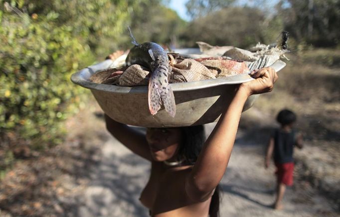 A Yawalapiti woman carries fishes caught by men fishing in the Tuatuari River to feed the guests of this year's 'quarup,' a ritual held over several days to honour in death a person of great importance to them, in the Xingu National Park, Mato Grosso State, August 15, 2012. This year the Yawalapiti tribe honoured two people - a Yawalapiti Indian who they consider a great leader, and Darcy Ribeiro, a well-known author, anthropologist and politician known for focusing on the relationship between native peoples and education in Brazil. Picture taken August 15, 2012. REUTERS/Ueslei Marcelino (BRAZIL - Tags: SOCIETY ENVIRONMENT ANIMALS) FOR EDITORIAL USE ONLY. NOT FOR SALE FOR MARKETING OR ADVERTISING CAMPAIGNS. TEMPLATE OUT. ATTENTION EDITORS - PICTURE 13 OF 37 FOR THE PACKAGE 'THE YAWALAPITI QUARUP RITUAL' Published: Srp. 29, 2012, 10:20 dop.