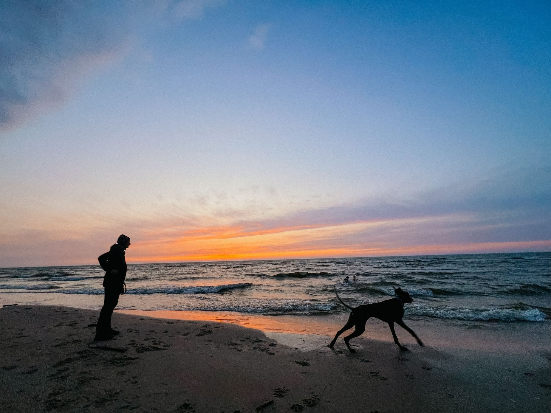polsko balt hrad malbork pes moře