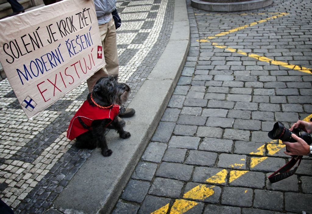 Demonstrace proti solení chodníků