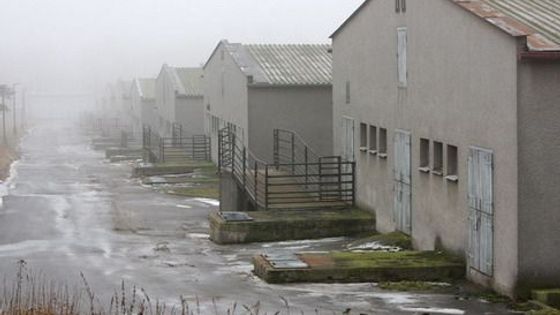 IN PICTURES: Pig farm at former Roma concentration camp still around