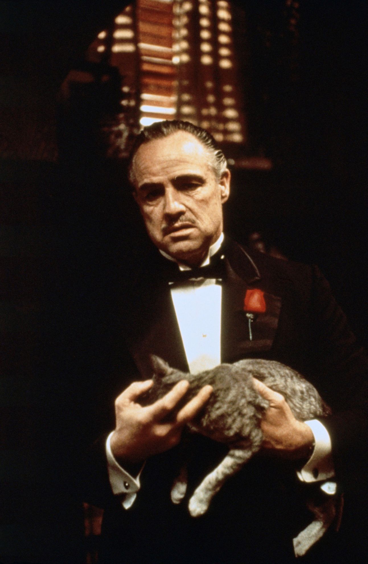 Marlon Brando, Kmotr, 1972