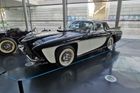 Jméno amerického sportovního automobilu Gaylord Gladiator z druhé poloviny 50. let zřejmě překládat nemusíme. Vznikly patrně jen tři nebo čtyři kusy tohoto vozu s osmiválcem Cadillac. Gaylord je mimochodem příjmení zakladatelů výrobce tohoto vozu.