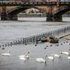 povodně 2024, Praha, Vltava