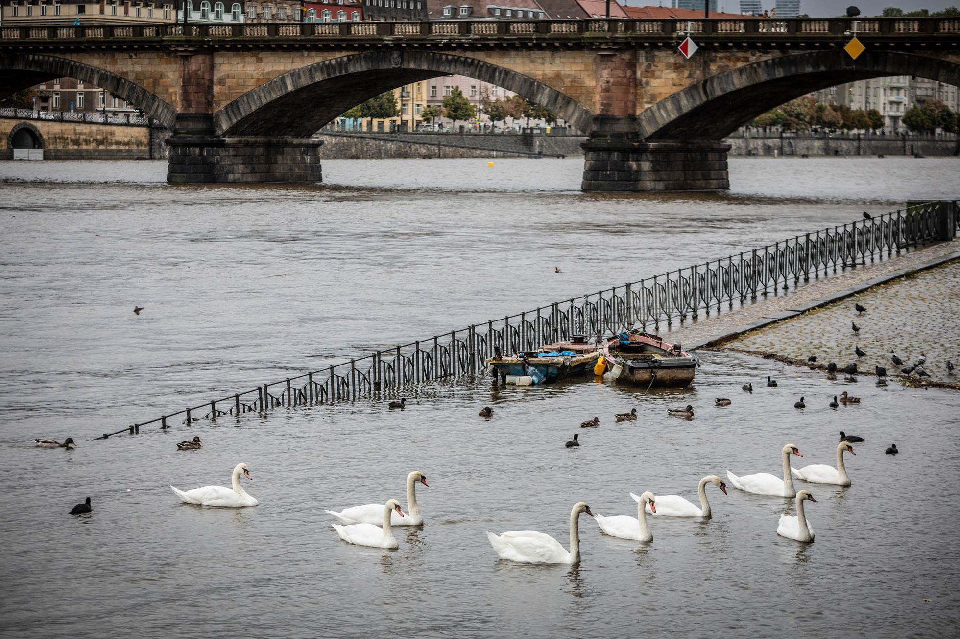 povodně 2024, Praha, Vltava