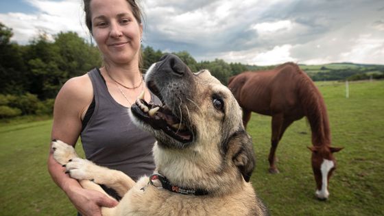 "Týden jsme křísili býka." Studovala veterinu, teď zachraňuje životy na azylové farmě