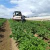 Farma Pech