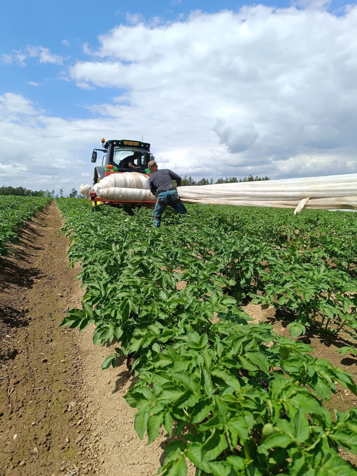 Farma Pech