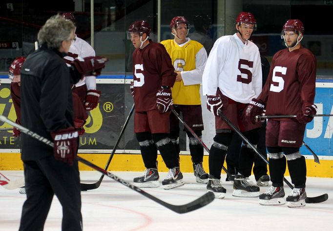 HC Sparta Praha - trénink