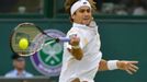 Španělský tenista David Ferrer odráží míček na Argentince Juana-Martína Del Potra během osmifinále Wimbledonu 2012.