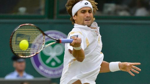 Španělský tenista David Ferrer odráží míček na Argentince Juana-Martína Del Potra během osmifinále Wimbledonu 2012.