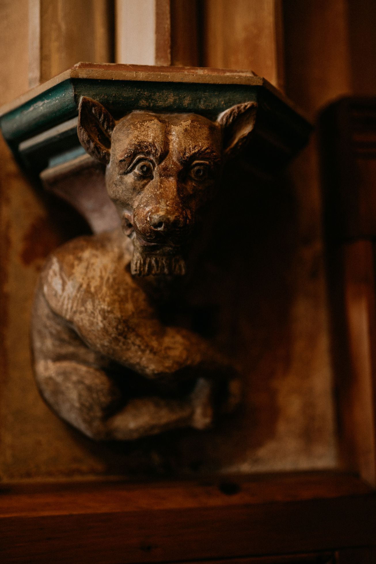 polsko balt hrad malbork pes moře