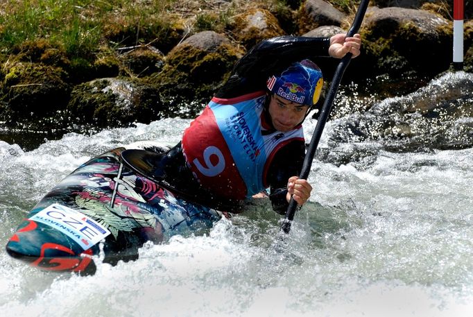 SP 2015, Liptovský Mikuláš: Vavřinec Hradilek