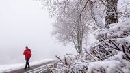 Sníh v Peci pod Sněžkou. Do sobotního večera napadne místy až 15 centimetrů sněhu. Vyplývá to z výstrahy, kterou v pátek zveřejnil Český hydrometeorologický ústav.