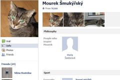 Miliony účtů na Facebooku patří spammerům či zvířatům