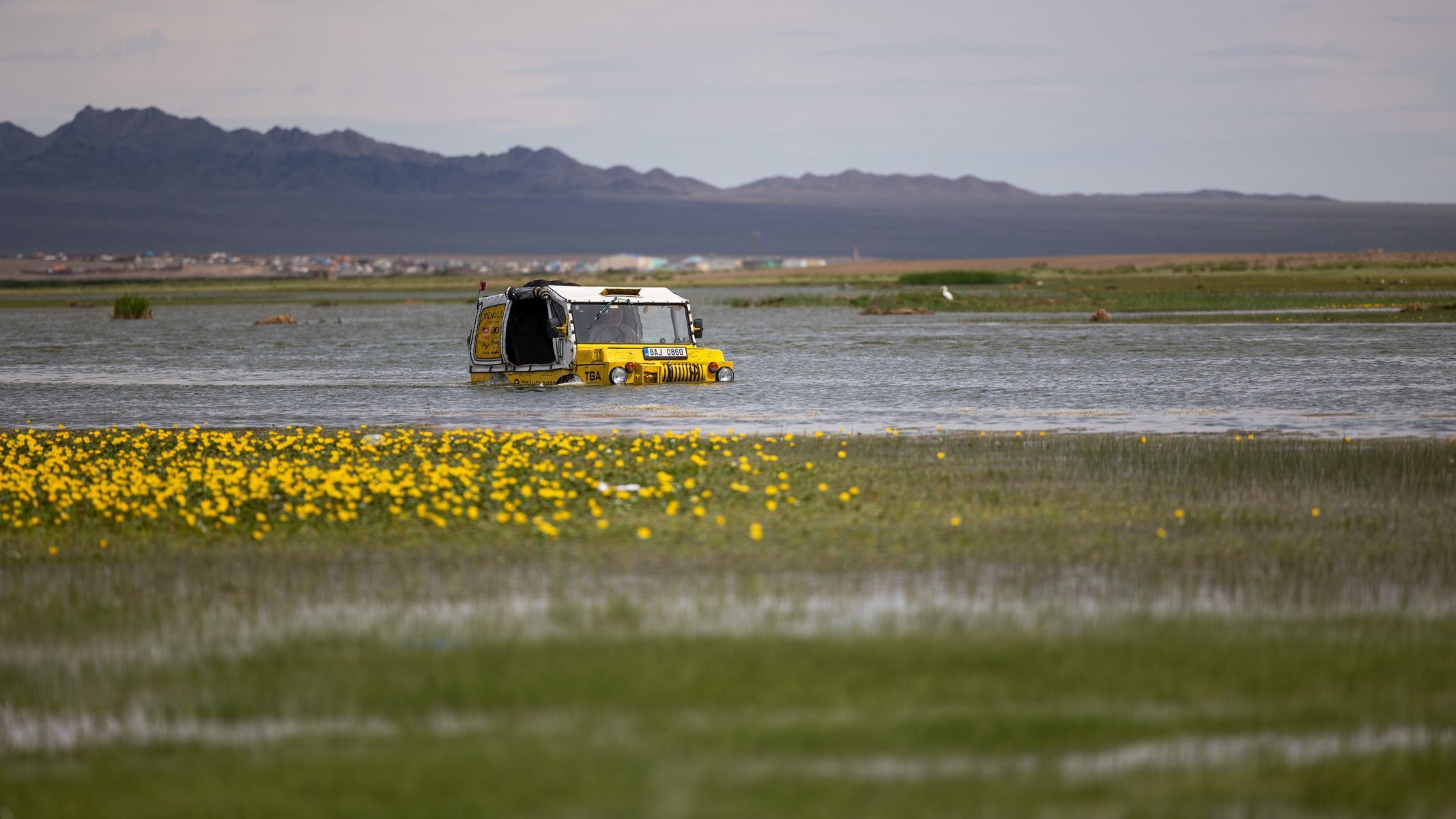 Žlutá žába pluje!