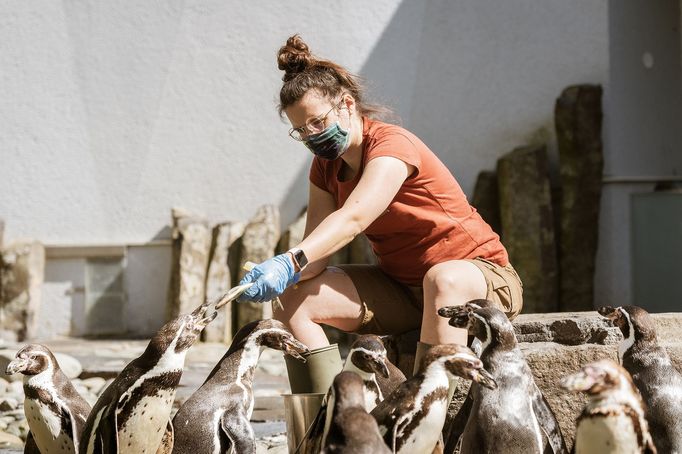 Pražské jaro v rouškách. První den v znovu otevřené zoo, lidé v botanické zahradě