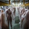Fotogalerie / Tak se v Číně vyrábějí sexuální roboti / Reuters / 19
