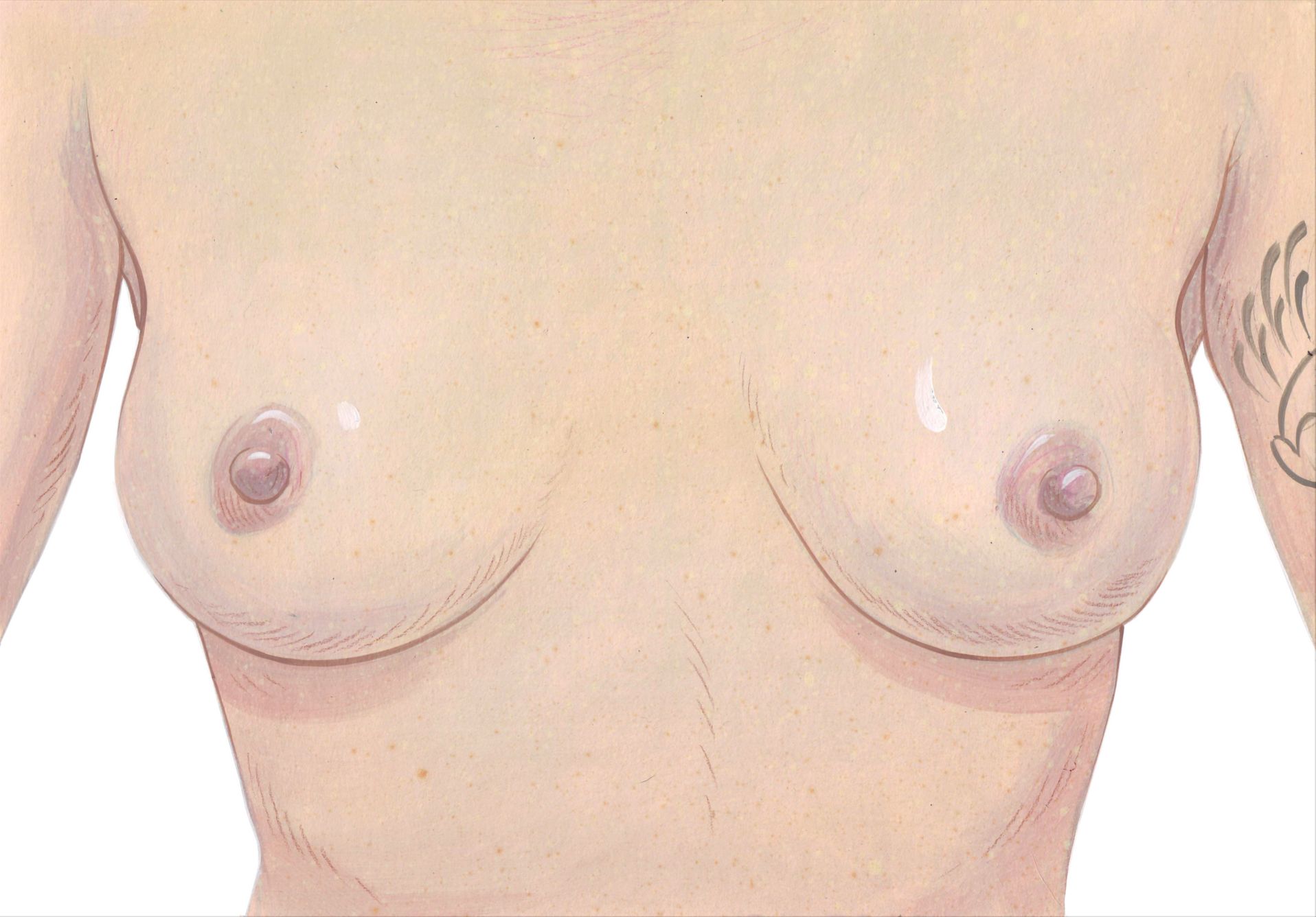 vulvy vulva jan gruml slaking lizard