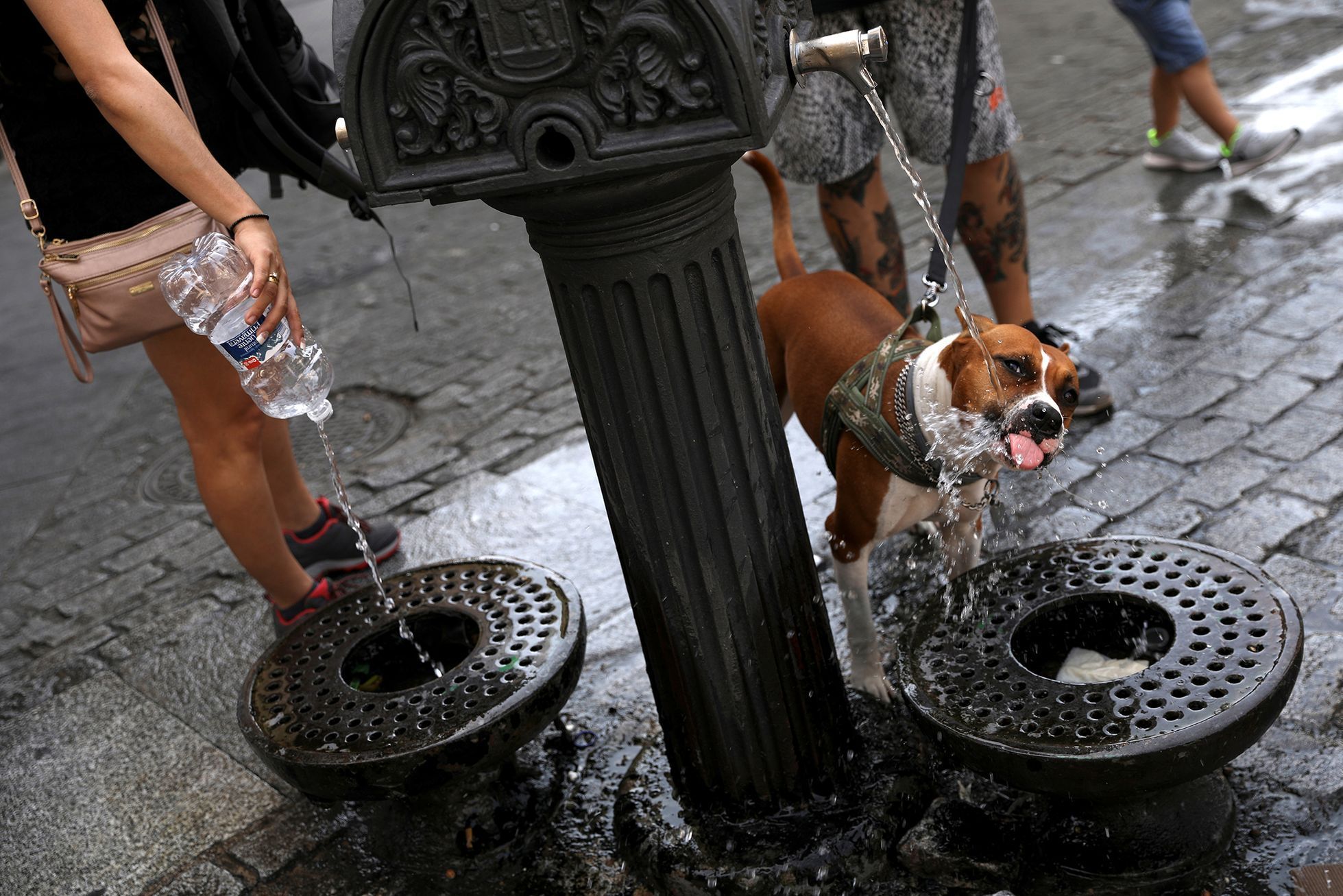 Fotogalerie / Letní vedra v Evropě / Zahraničí / Horko / Léto / Koupání / Voda / Počasí / Osvěžení / Reuters / 24