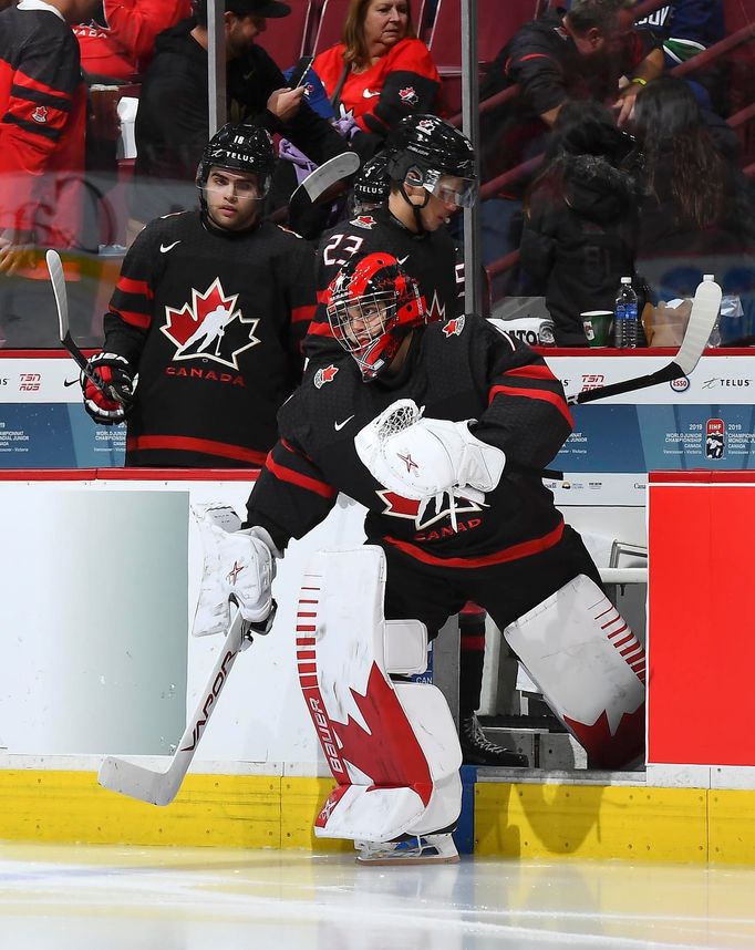 MSJ 2019, Česko - Kanada: Michael DiPietro