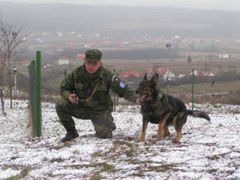 Armádní psovod