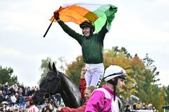 Taxis? Nic takového v Cheltenhamu není, vydechl vítěz. Překážku letos málem nezvládl