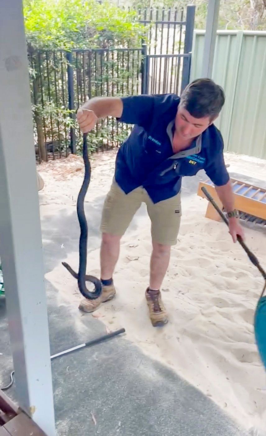 Pekelné profese. Tuhle práci dělají jen otrlí, práce, profese, náročné práce, fotogalerie, Magazín