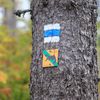 Národní park Šumava 24.9. 2015 - Tk o kůrovci