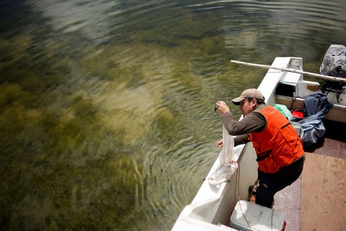 Jezero Titicaca, ležící v centrální oblasti And v Jižní Americe, dlouhodobě ohrožuje stoupající úroveň znečištění.