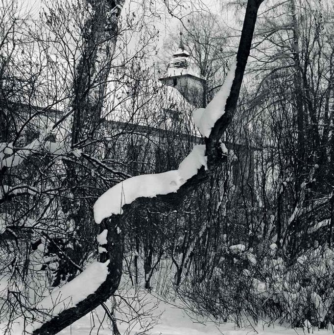 Daniel Reynek: Zimní zahrada v Petrkově (60. léta), černobílá fotografie č. 051, 365 × 365 cm