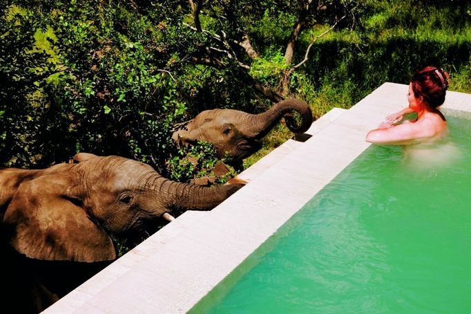 Hotel Royal Malewane uprostřed safari v Jihoafrické republice