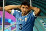 Jihoameričané dlouho postupovali, jenže v souběžně hraném duelu Portugalska s Jižní Koreou se zrodila senzace. Suárez už byl na lavičce, když se dozvěděl o tom, že Korejci v nastavení rozhodli o překvapivé výhře 2:1. V tu chvíli potřebovala Uruguay ještě vstřelený gól navíc.