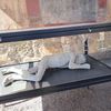 Itálie, Neapol. Pompeje. cestopis, památky